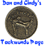 Dan and Cindy's Taekwondo Page